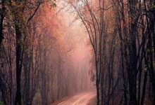 九游：亚冬会 ｜ 中国冰壶队取得“开门红”2025-02-05.