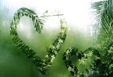 嘲讽德约科维奇过气，澳洲主播被要求道歉中国新闻网.